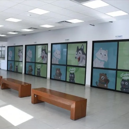 Puertas Fenólicas